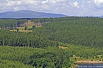 Blick zum Brocken