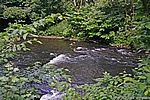 Die Bode vor Treseburg