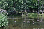 Die Bode vor Treseburg