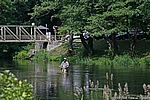 Die Bode vor Treseburg