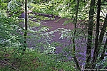 Die Bode vor Treseburg