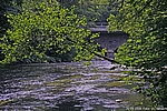 Die Bode vor Treseburg