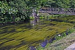 Die Bode vor Treseburg