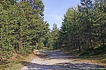 Wanderung zu den Sandsteinh&ouml;hlen der Burg Regenstein bei Blankenburg im Harz