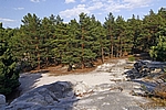 Sandsteinh&ouml;hlen der Burg Regenstein bei Blankenburg im Harz