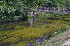 2008-06-26-Treseburg-Regenstein