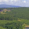 2008-06-26-Treseburg-Regenstein-1