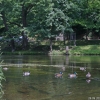 2008-06-26-Treseburg-Regenstein-14