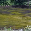 2008-06-26-Treseburg-Regenstein-17