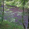 2008-06-26-Treseburg-Regenstein-19