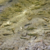 2008-06-26-Treseburg-Regenstein-2