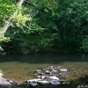 2008-06-26-Treseburg-Regenstein-20