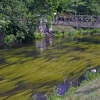 2008-06-26-Treseburg-Regenstein-23