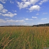 2008-06-26-Treseburg-Regenstein-26
