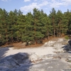 2008-06-26-Treseburg-Regenstein-33