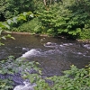 2008-06-26-Treseburg-Regenstein-7