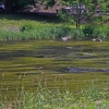 2008-06-26-Treseburg-Regenstein-8