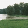 Hochwasser-11