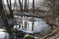 Der Holzbach im Vogtland bei Weißensand