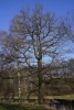 02_Holzbach_U_Halbach_Februar_2015