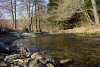 03_Holzbach_U_Halbach_Februar_2015