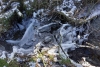 12_Holzbach_U_Halbach_Februar_2015