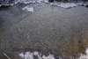 14_Holzbach_U_Halbach_Februar_2015