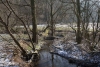 15_Holzbach_U_Halbach_Februar_2015