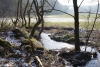 16_Holzbach_U_Halbach_Februar_2015