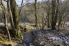 19_Holzbach_U_Halbach_Februar_2015