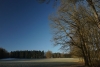 21 Holzbach_U_Halbach_Febrau 2015