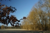 22 Holzbach_U_Halbach_Febrau 2015
