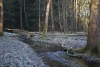 23 Holzbach_U_Halbach_Febrau 2015