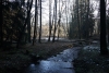24 Holzbach_U_Halbach_Febrau 2015