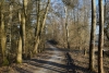 30 Holzbach_U_Halbach_Febrau 2015
