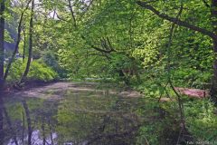 verschiedenes Wasser